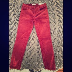 Velvet Skinny Pants